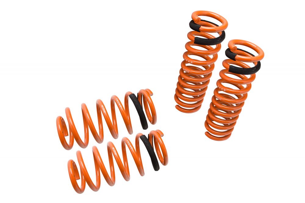 Lowering Springs for Dodge Charger 06-10