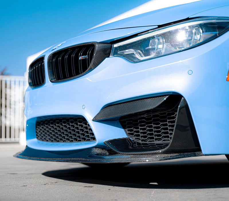 BMW Carbon Fiber Grill Outline