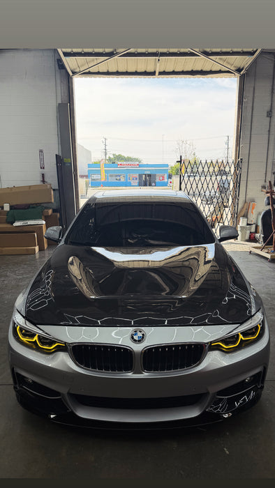 BMW F36 Carbon Fiber GTS Hood