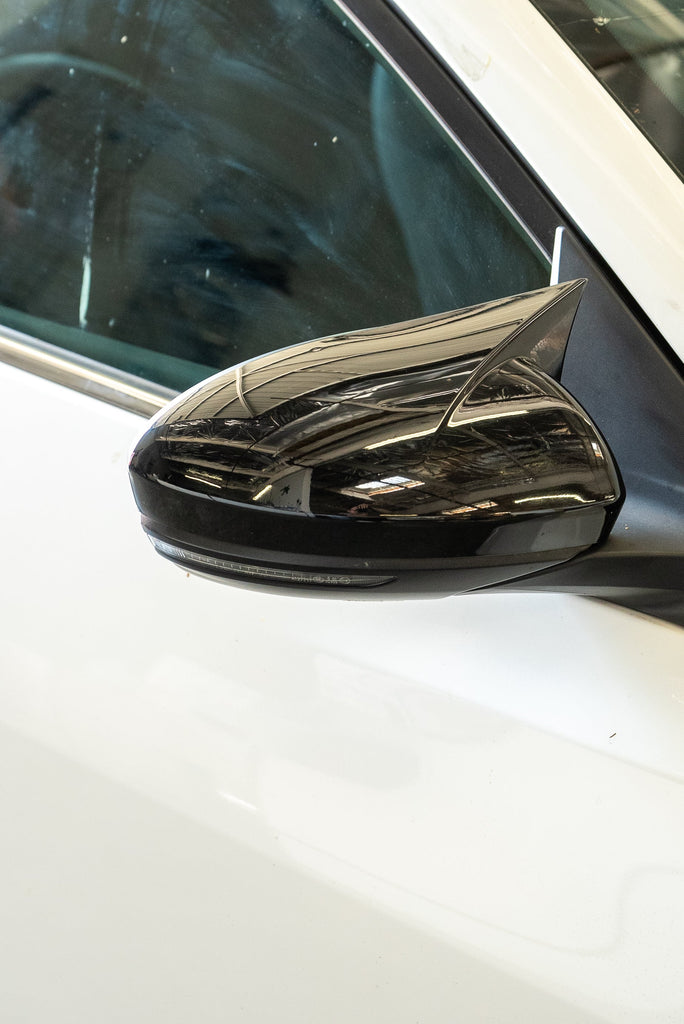 Nissan sentra mirror cover hotsell